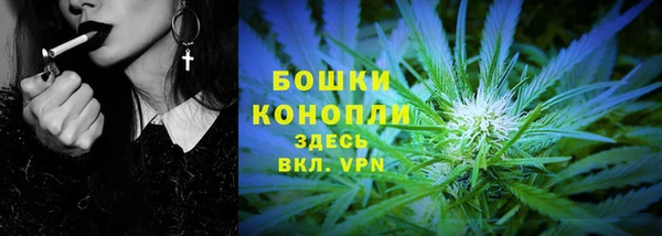 первитин Богданович