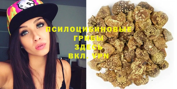 дживик Дрезна