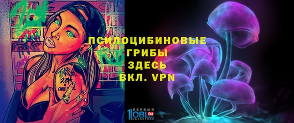 первитин Богданович