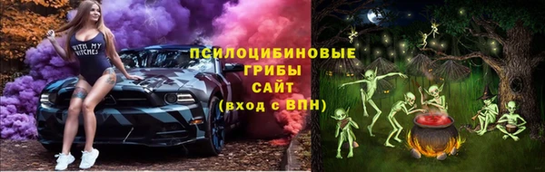 прущая мука Богородицк