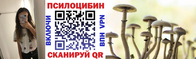 купить   Кодинск  Галлюциногенные грибы Cubensis 